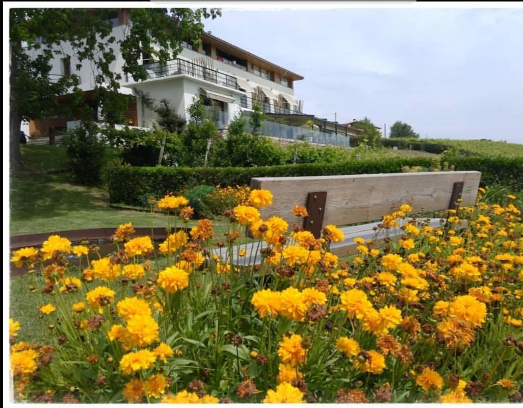 Hotel San Prudentzio Getaria Exteriér fotografie